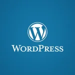 wordpress-nedir.webp wordpress-nedir.webp